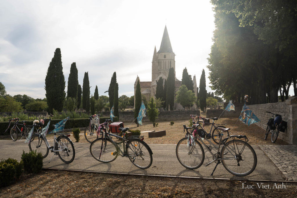 Jardin médiéval d'Aulnay
28 juillet 2022